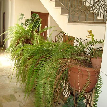 Antonio'S House Bed & Breakfast Agrigento Dış mekan fotoğraf