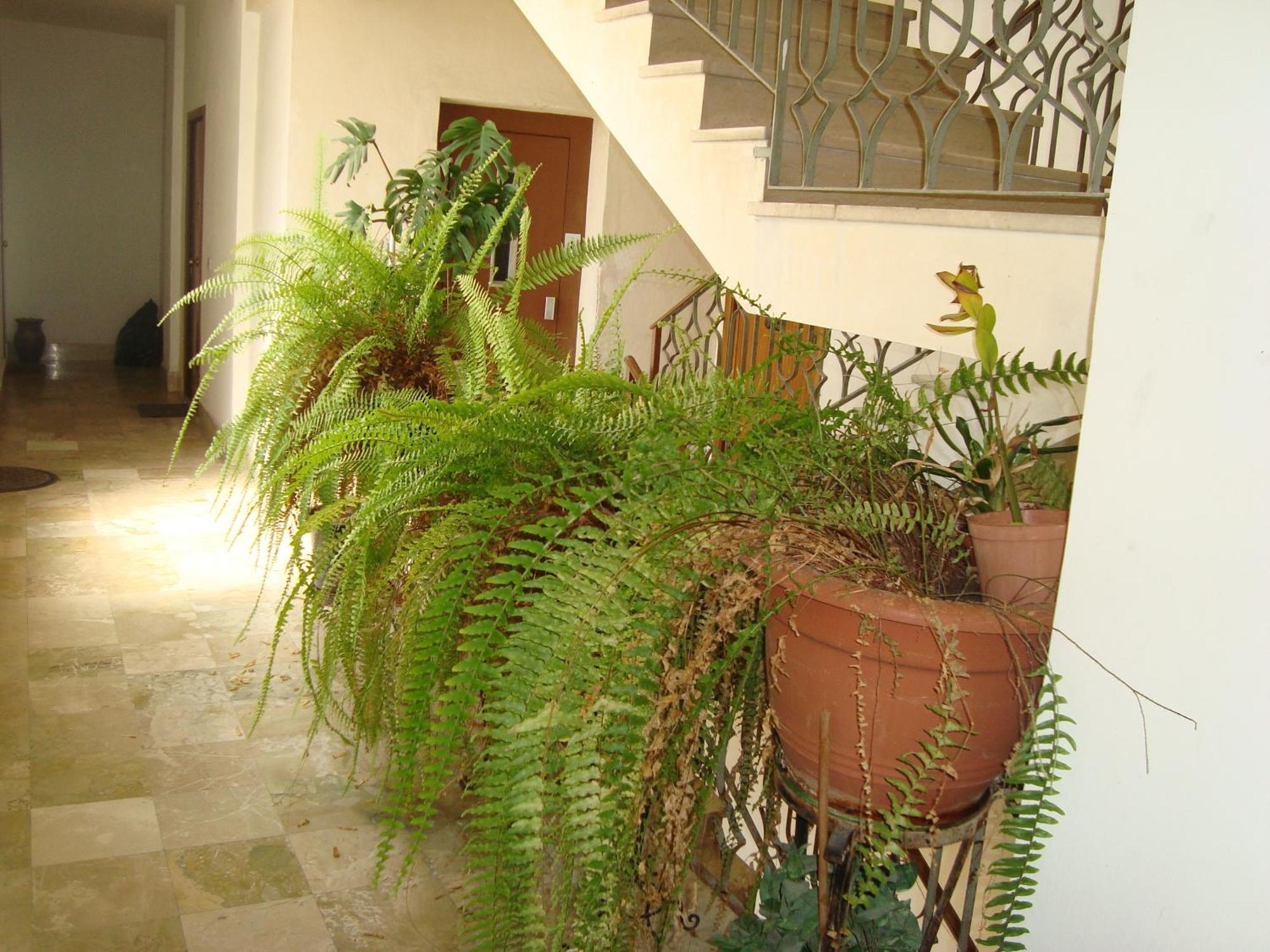 Antonio'S House Bed & Breakfast Agrigento Dış mekan fotoğraf